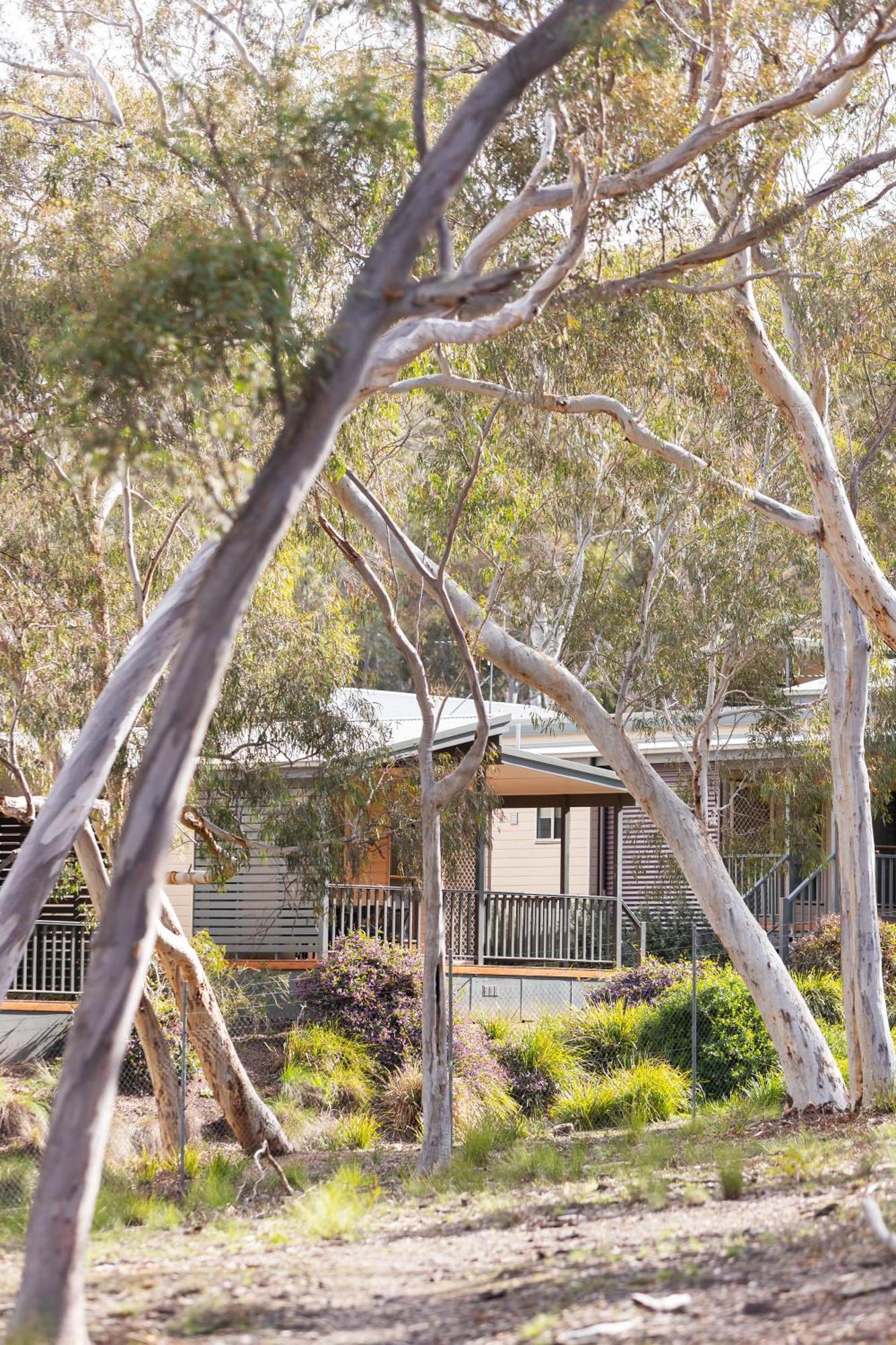 Alivio Tourist Park Canberra Extérieur photo